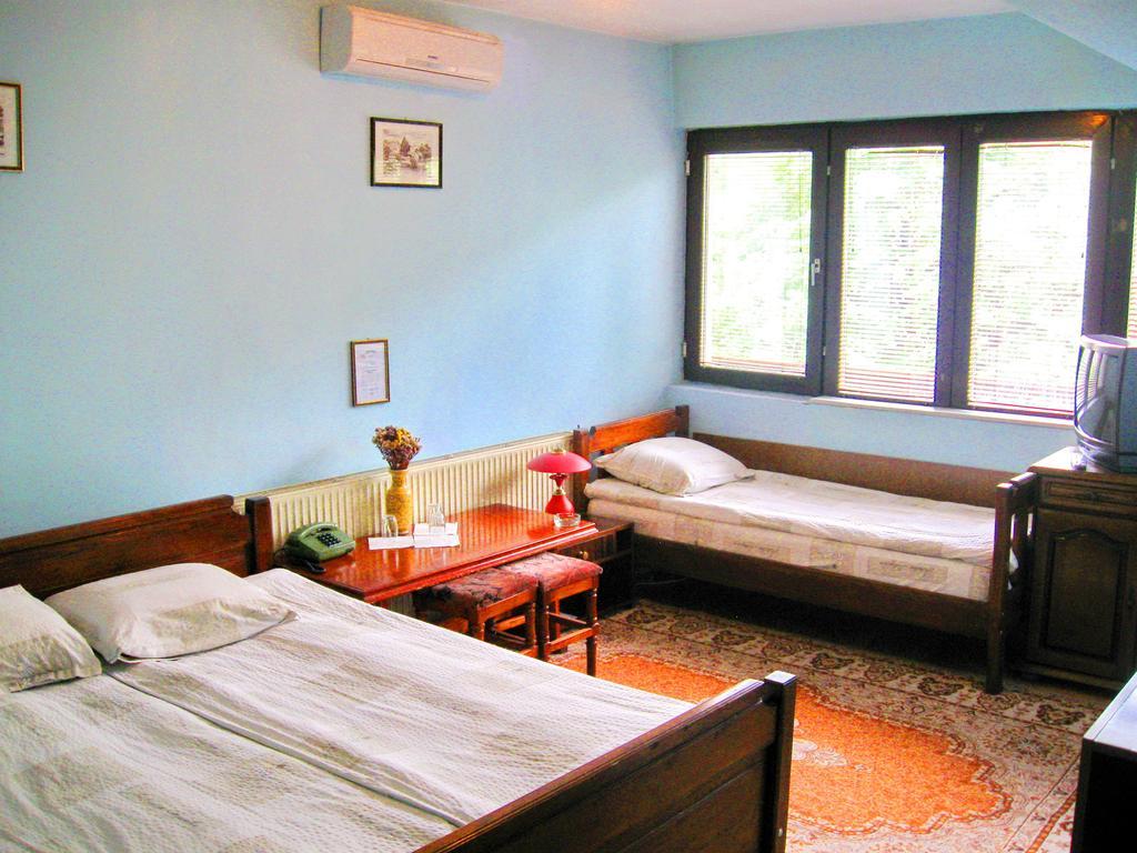 Amfora Rooms Caribrod Dimitrovgrad Værelse billede