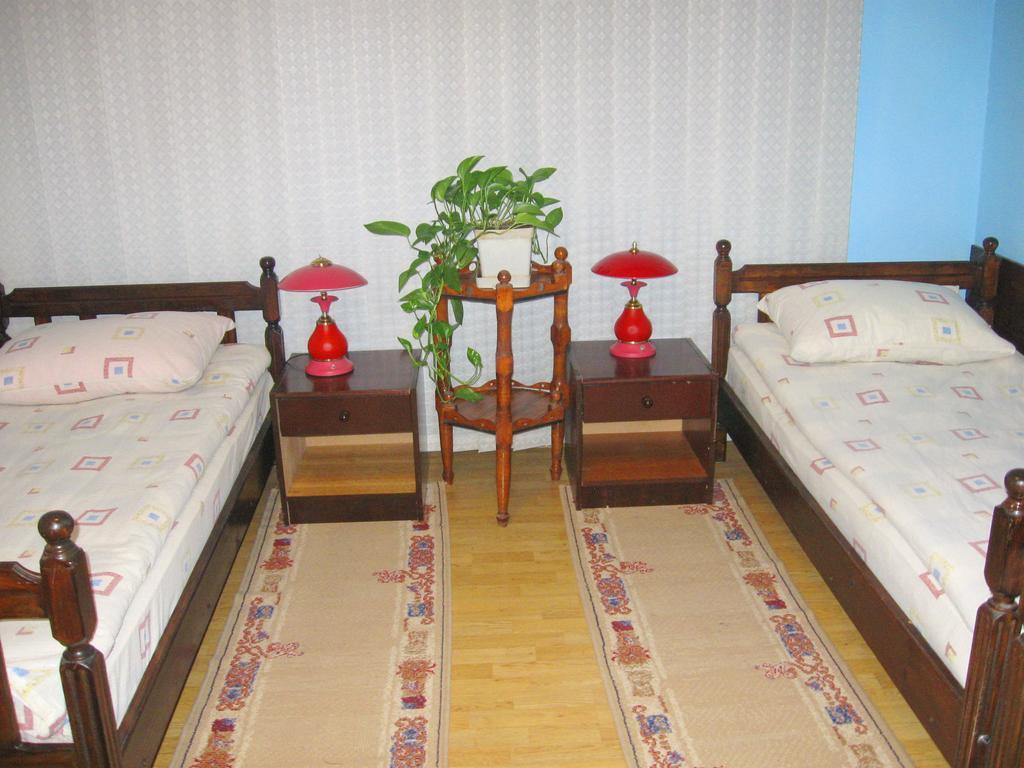 Amfora Rooms Caribrod Dimitrovgrad Værelse billede