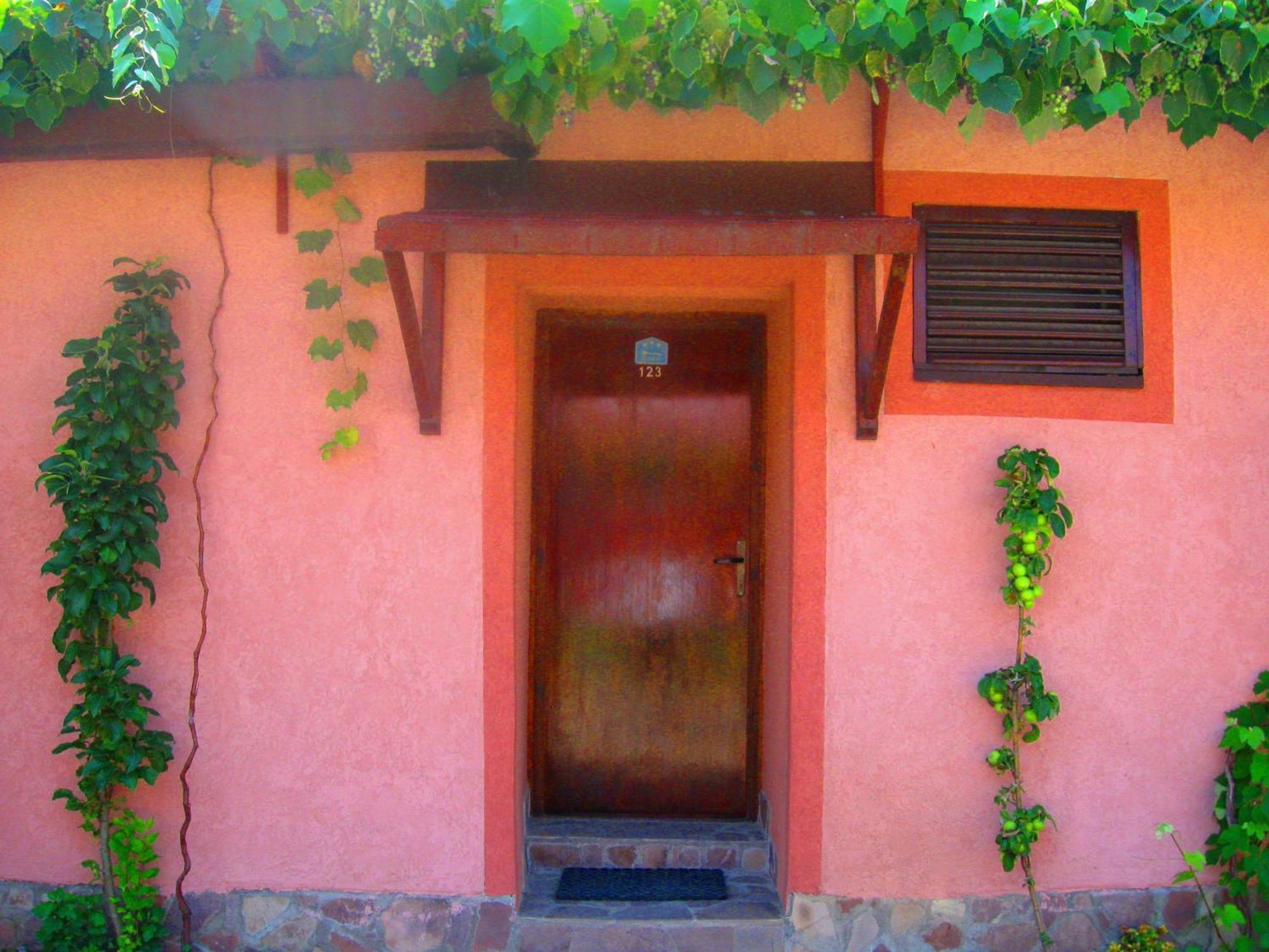 Amfora Rooms Caribrod Dimitrovgrad Værelse billede