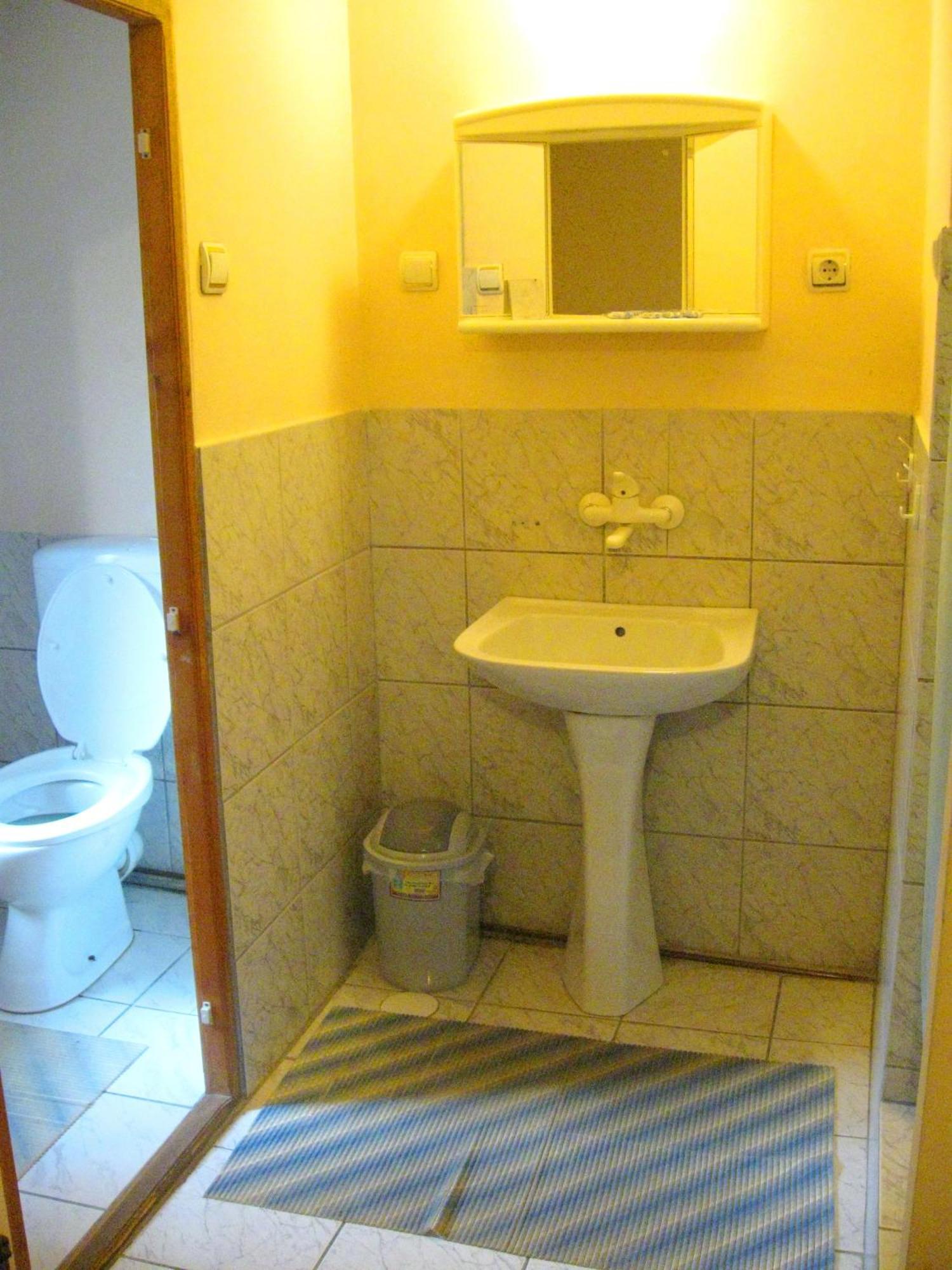 Amfora Rooms Caribrod Dimitrovgrad Værelse billede